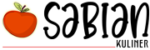 cropped logo sabian hero top.png